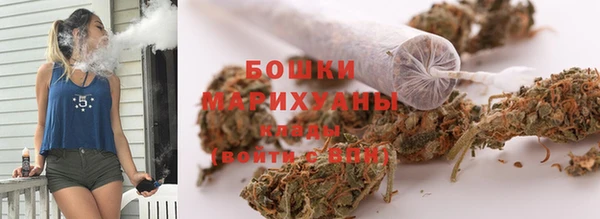 прущие крисы Арсеньев