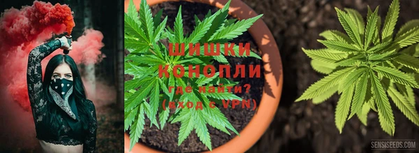 ПСИЛОЦИБИНОВЫЕ ГРИБЫ Аркадак