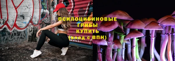 метадон Гусев